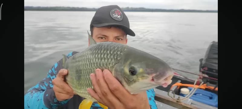 1 DIÁRIA DE PESCA RIO PARANÁ
