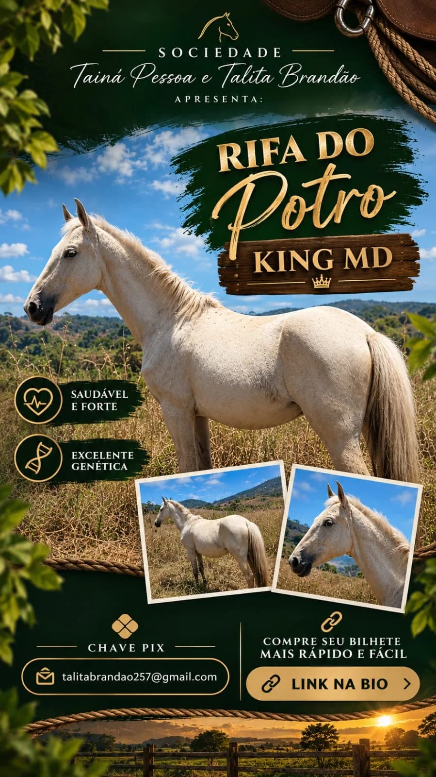 Rifa do potro King MD