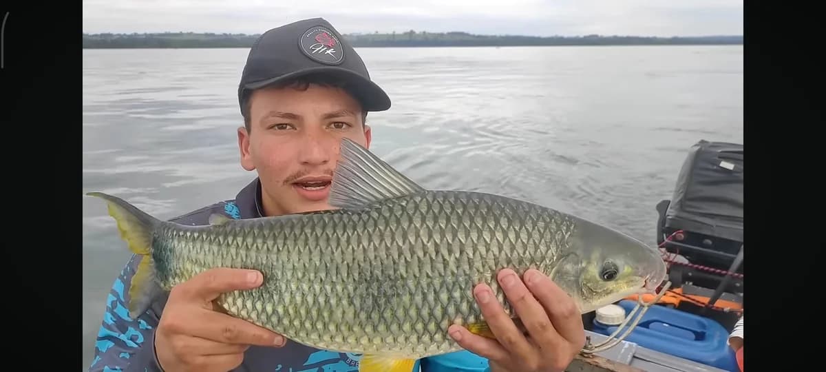 1 diária de pesca Rio Parana