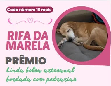 Rifa da Marela